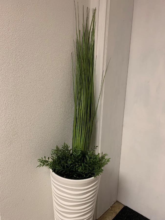Ferienwohnung "Am Mittag" 布莱夏 外观 照片